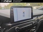 Ford Focus 1.0 ECOBOOST MHEV ST LINE 155 miniatura 24