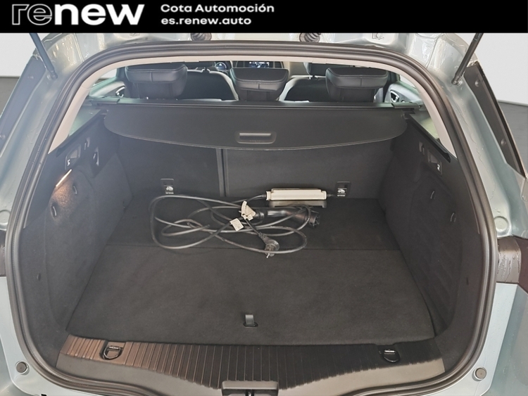 Renault Megane Zen foto 18